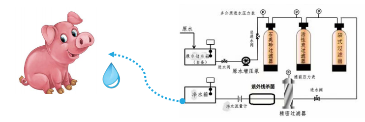 养猪场净水设备,工艺流程